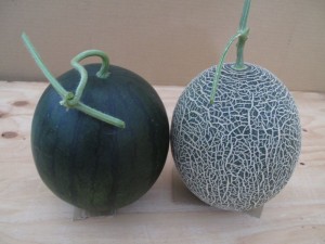 IMG_8686_result