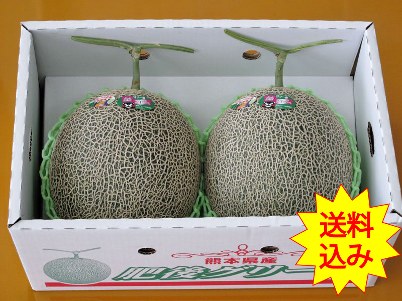 熊本県植木産ネットメロン「肥後グリーン」